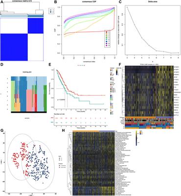 Genomics and Prognosis Analysis of N6-Methyladenosine Regulators in Lung Adenocarcinoma